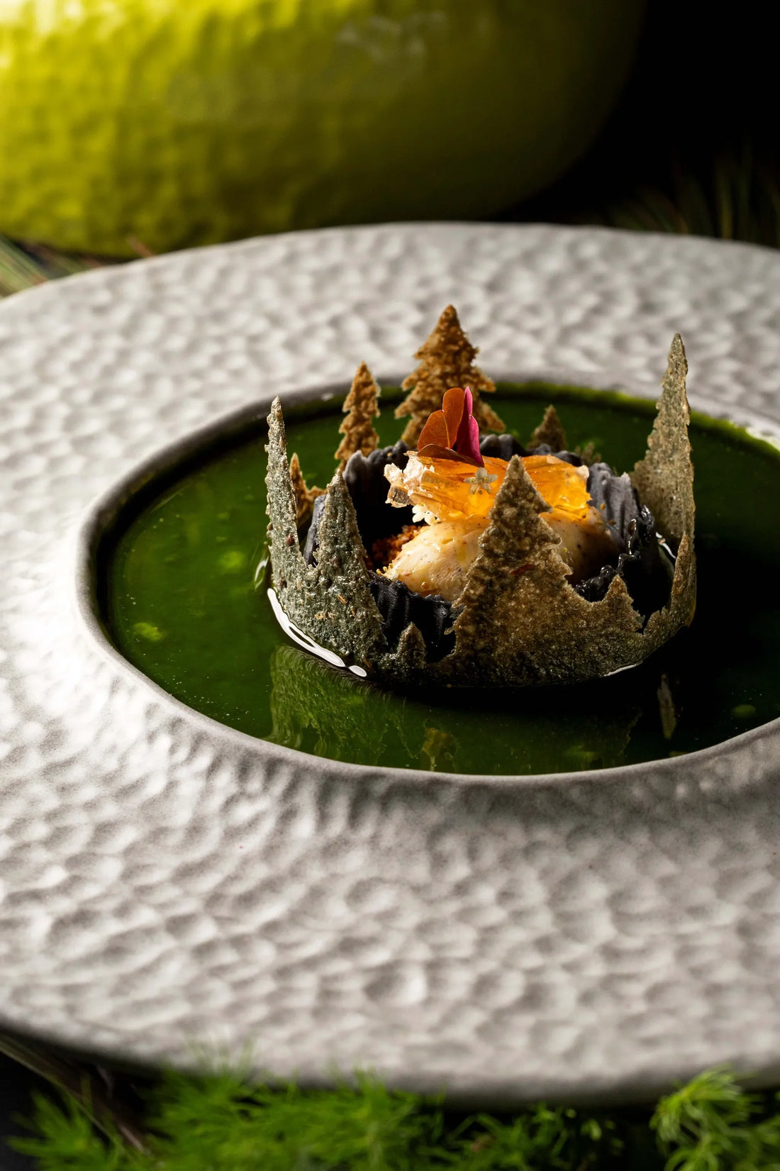 KOLI: UNA HISTORIA DE ORIGEN, SABOR Y LEGADO