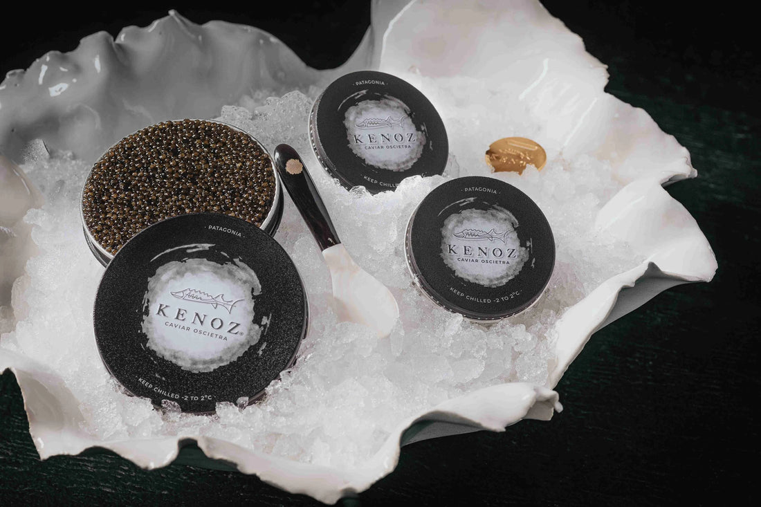 KENOZ: EL LEGADO AUSTRAL DEL CAVIAR ARTESANAL